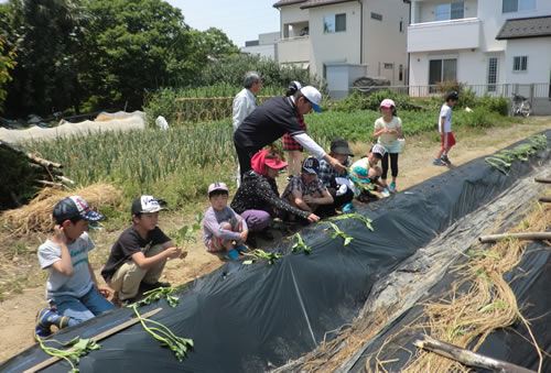 夢の学習