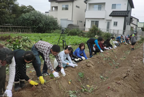 夢の学習